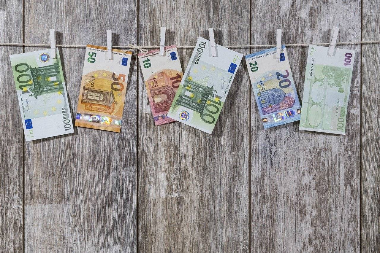Stavite grančicu ove biljke u novčanik i privucite novac u život 5 17ab1d7a2e77376c9de84a00772ed121c58d9dd5