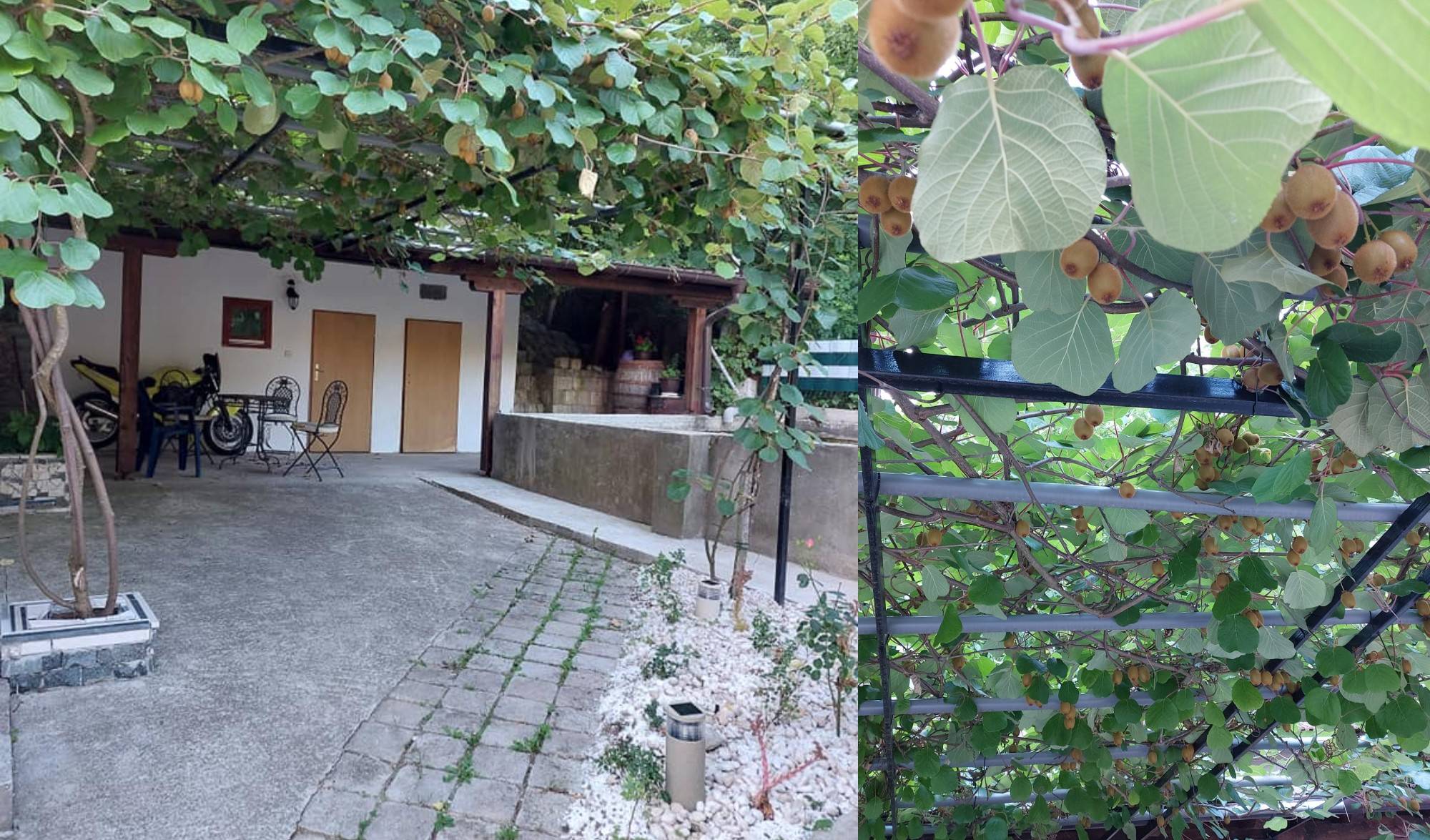 Omer Karalić pokazao svoj dom u Sarajevu, pa se pohvalio NESVAKIDAŠNJIM POKLONOM 3 404bd27c77298dac63d95cd22158cfa077f8a46d