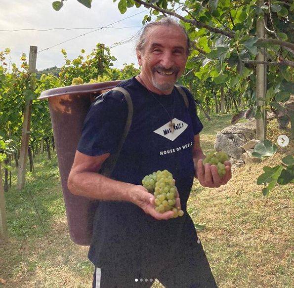 KO ZNA, ZNA Željko Bebek i njegova mlađana supruga beru grožđe i degustiraju vino (FOTO) 2 4d6415077393a6119718af6928103dad2784f2c9