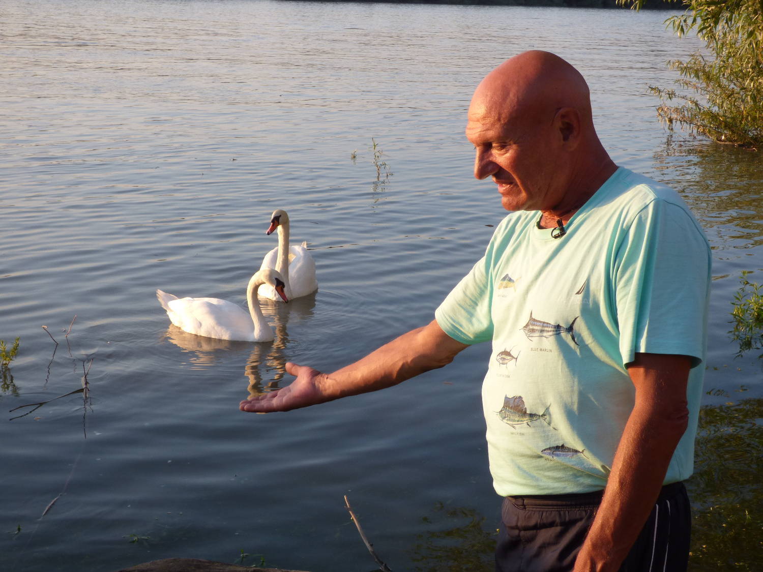 GOTOVA OSTAVINSKA RASPRAVA: Evo ko je dobio svu Šabanovu imovinu 2 5f01888d583c36aadea3851008ac9028313ccc33