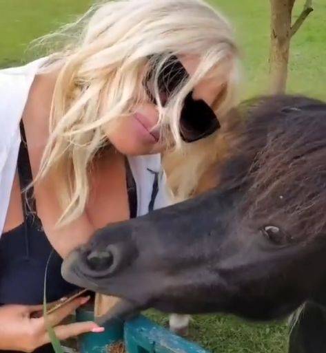 PA HIT! Zorana htela da se fotka s konjem, on "navalio" na njene grudi (VIDEO) 2 650f78b18a0e0c46c6d6739273a5998693c56af6