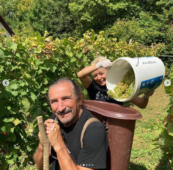 KO ZNA, ZNA Željko Bebek i njegova mlađana supruga beru grožđe i degustiraju vino (FOTO) 3 67eac1290d128457a9206b933ce8925aff8d1430