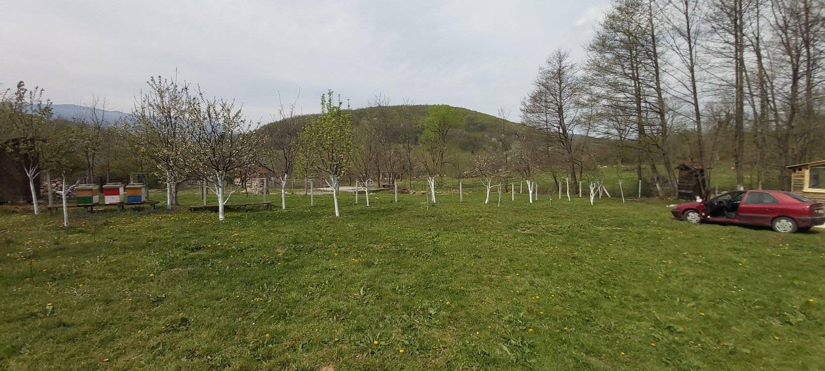 NIJE VILA, ALI BIĆE Okoreli roker ulaže u poljoprivredu i gradi kolibu na svom imanju (FOTO + VIDEO) 5 7c8190008d8f74f0279cdf7613c49179b292f791