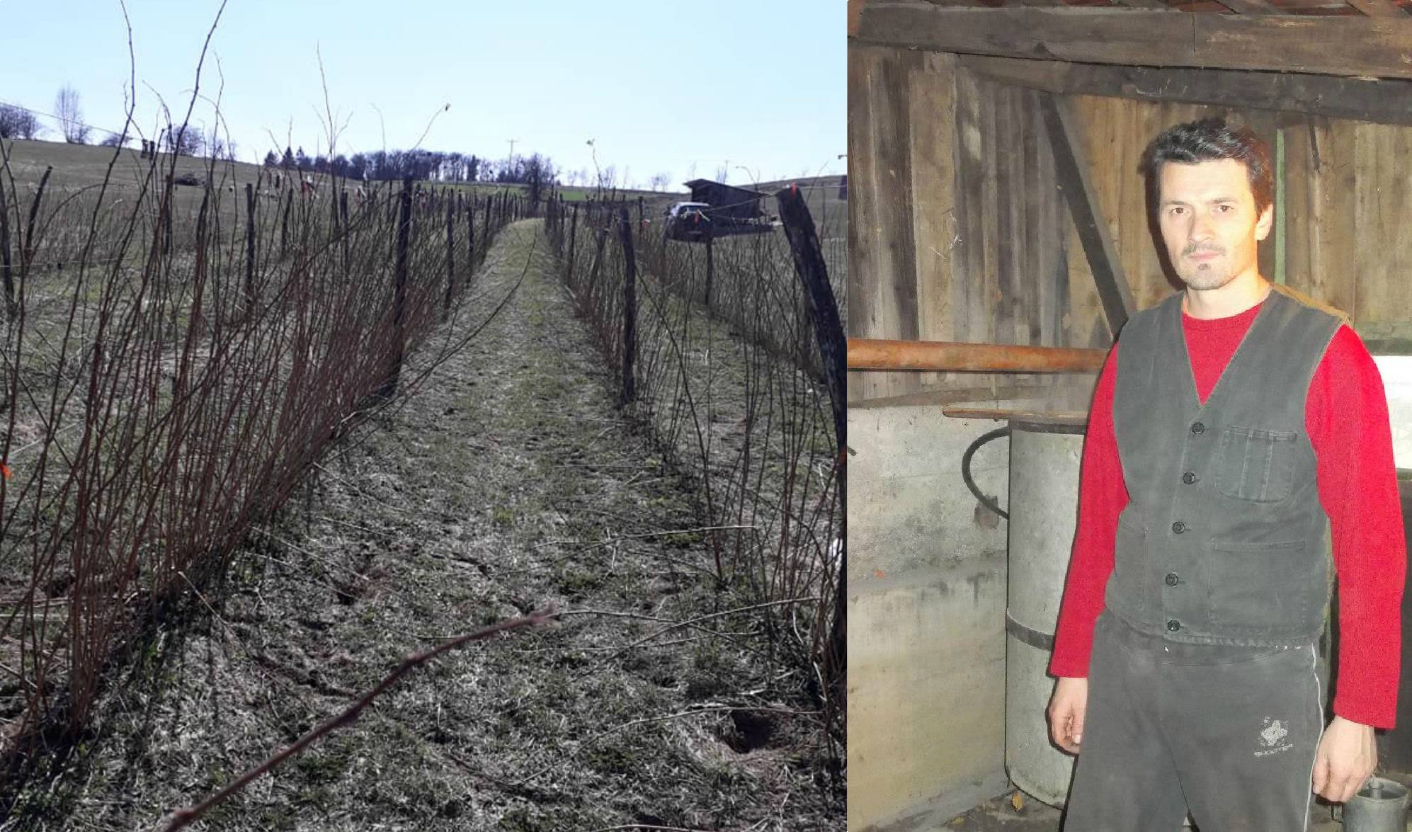 OD OKORELOG ROKERA DO POLJOPRIVREDNIKA Ne plaši se korone, rakijicom kvasi grlo i pevuši uz maline 4 86a1ddd5ea32d55bc6f57c1e20ae0ac2d34b3317