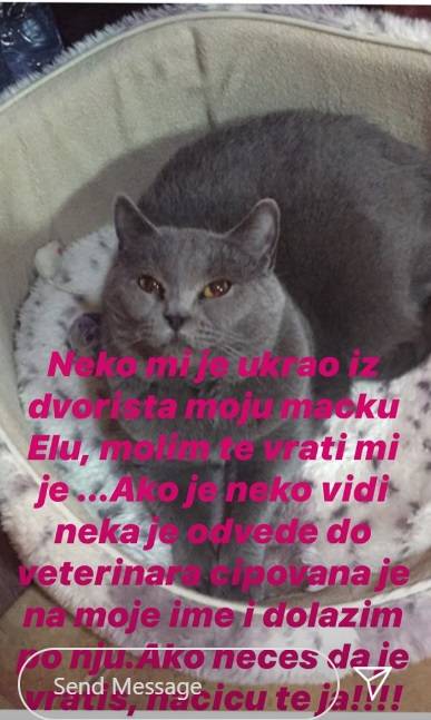 I to se dešava! SLAVICI ĆUKTERAŠ ukrali mačku! 2 98b53e83e56e838ad5197a6a9df35507be2989d5