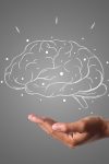 Neurolozi za očuvanje zdravlja mozga preporučuju ove četiri namirnice 3 brain writes with white chalk is hand draw concept