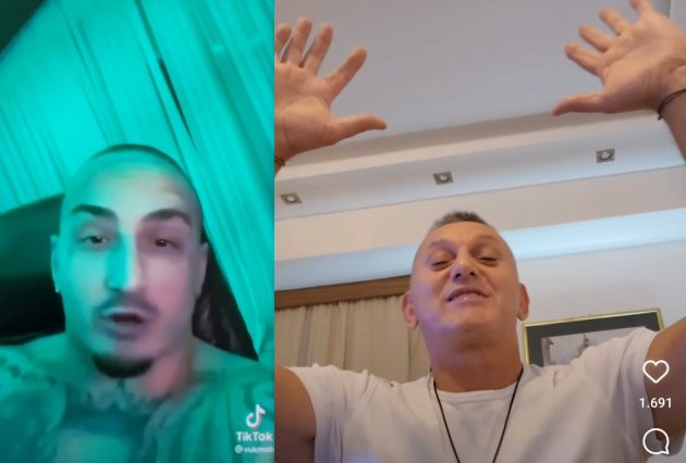 Vuk i Sako