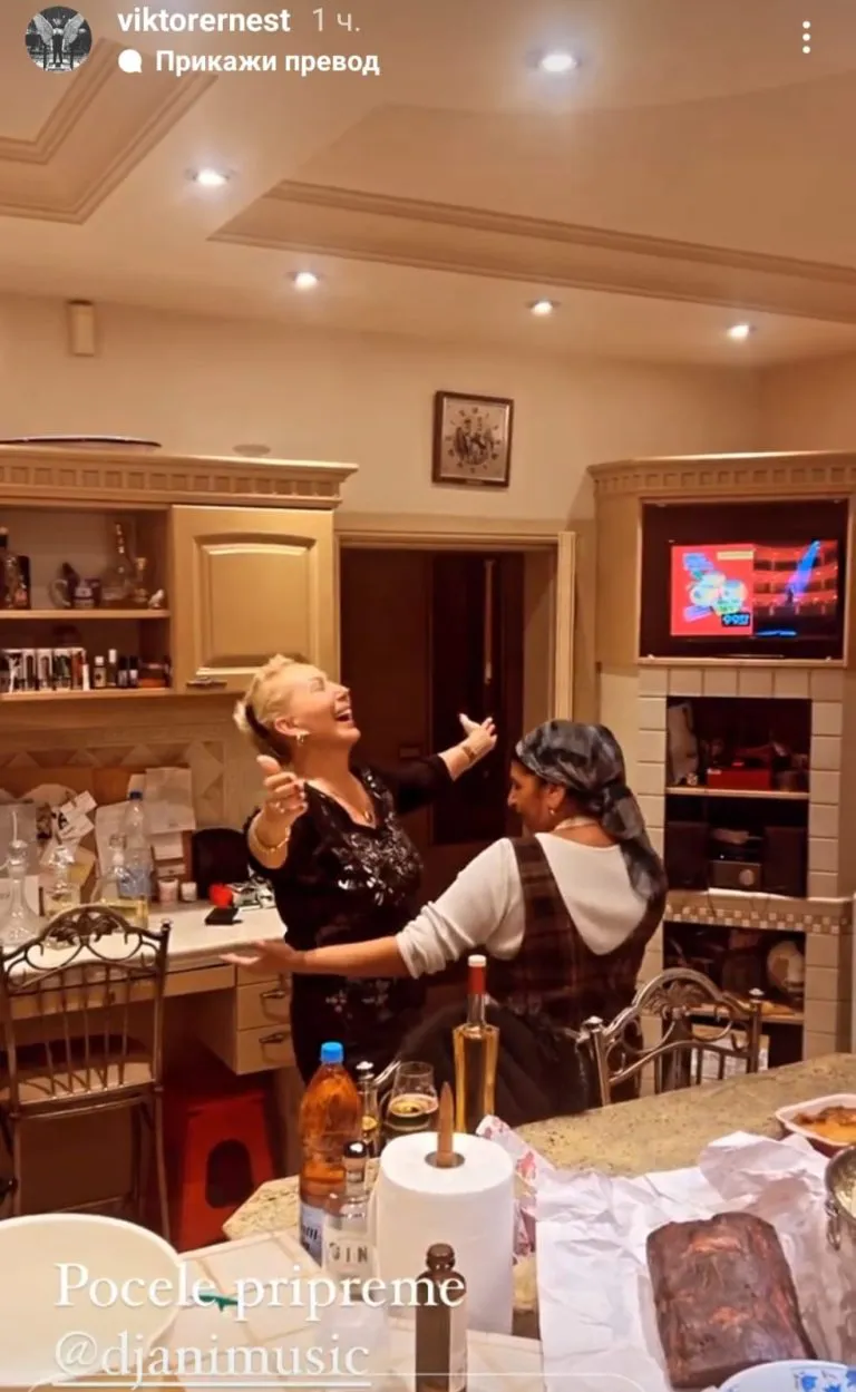lepa brena