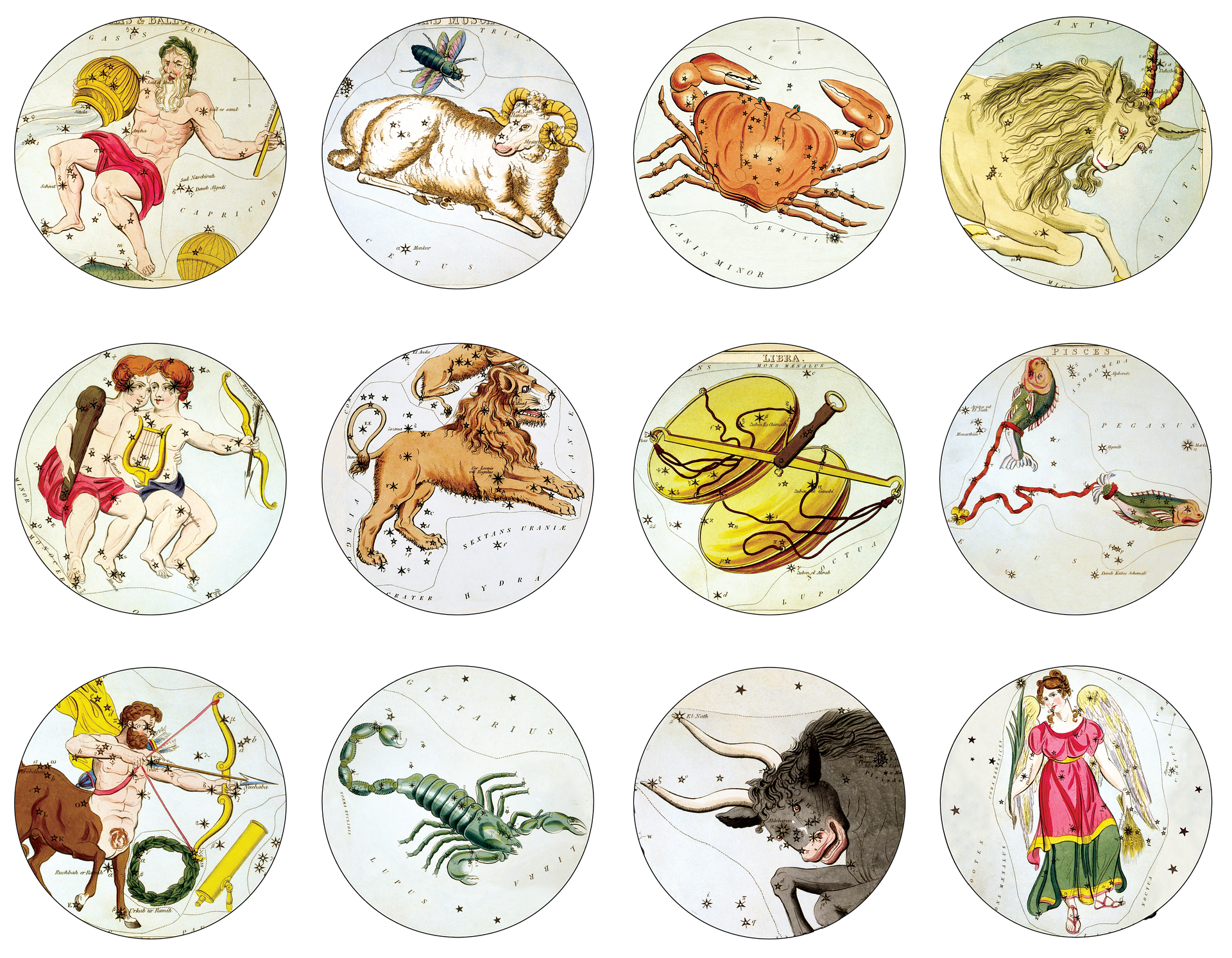 zodiac g8ddef1d7a 1920 1