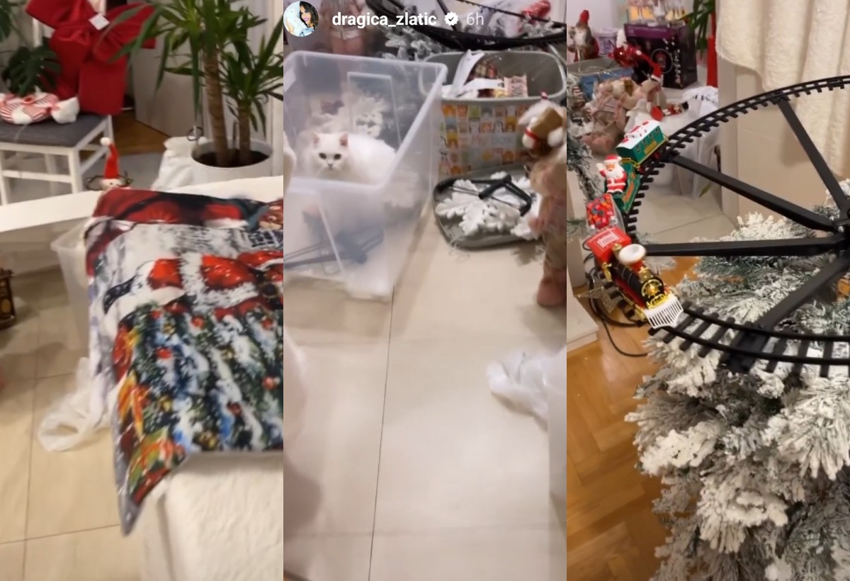 DOM KAO IZ BAJKE: Dragica Zlatić pokazala stan od kog zastaje dah (FOTO) 10 ipiccy image 5