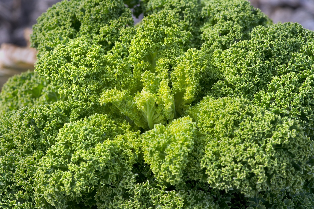leafy greens g81c3d2691 1280