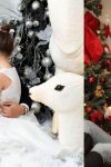 novogodisnje fotogtrafije 1