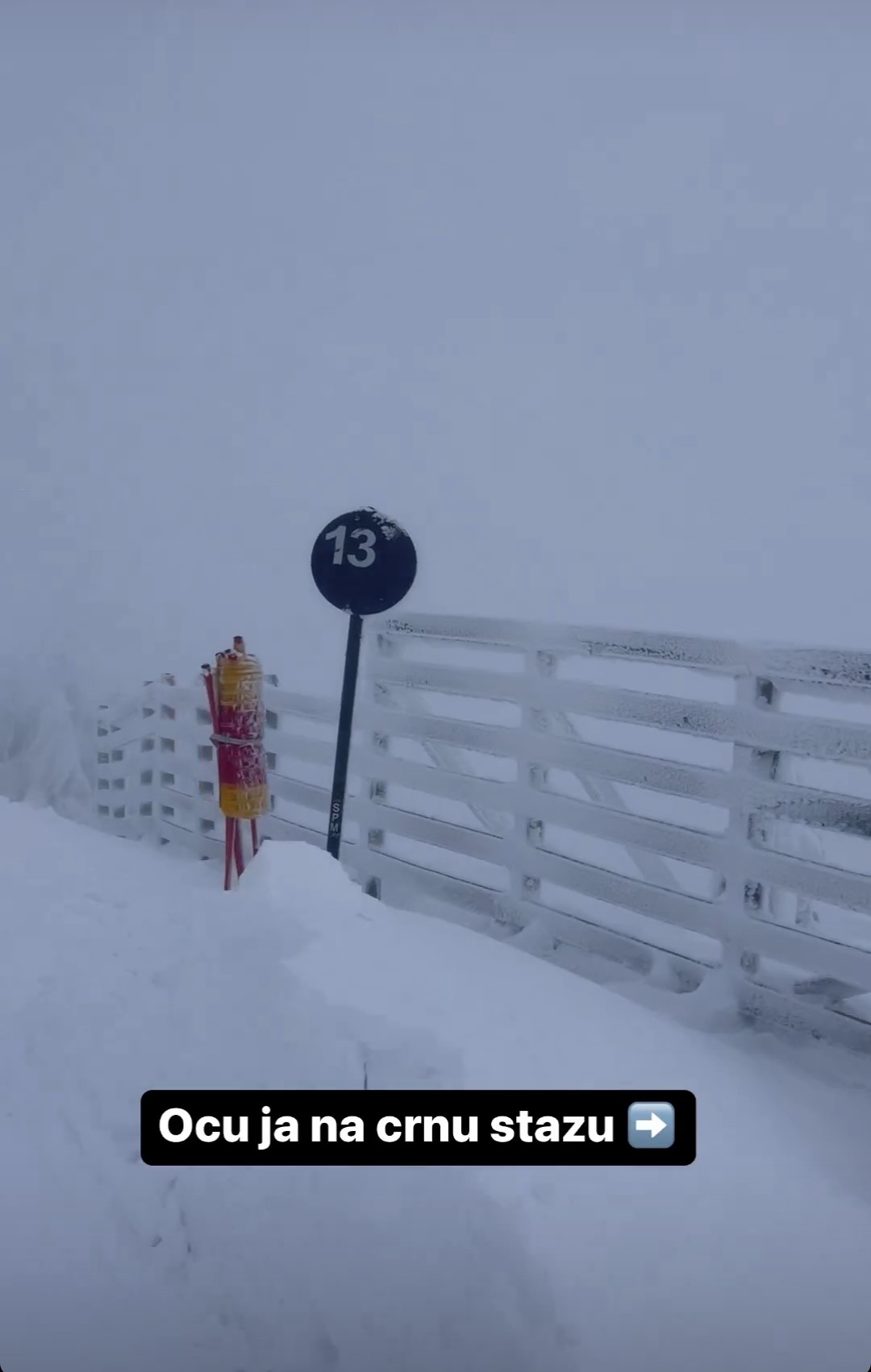 CRNA STAZA JE KOŠTALA Dragica Zlatić doživela NEZGODU NA SKIJANJU: "Pomozi Bože!" 7 DRAGICA ZLAT