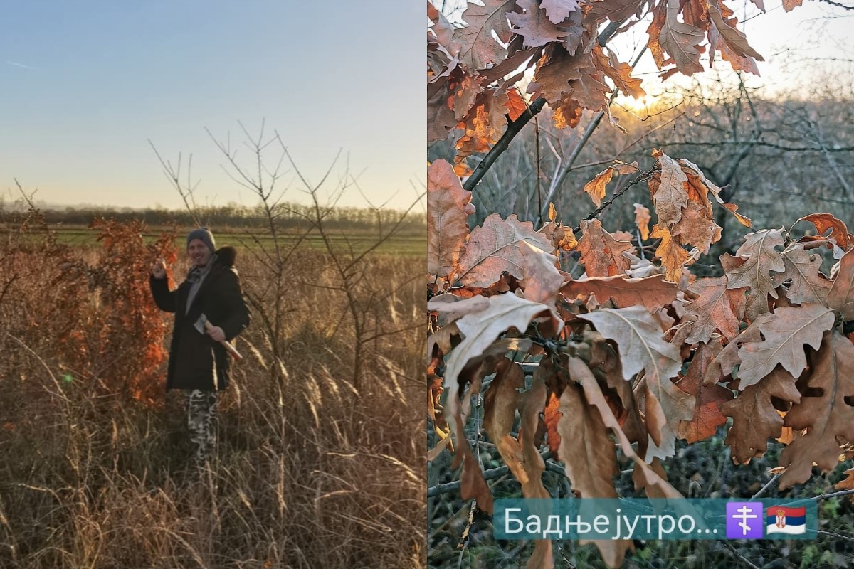 PRIPREME ZA BOŽIĆ KOD DINČE: Pevač PORANIO PO BADNJAK, Jelena sprema trpezu od koje IDE VODA NA USTA, a tek da vidite šta im rade deca (FOTO) 8 ipiccy image 14