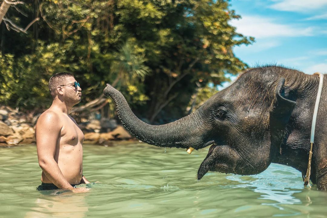 Perućica imao OKRŠAJ na Tajlandu: Pevač pokušao da POLJUBI SLONA i NADRLJAO KAO NIKAD (FOTO) 5 330060446 1243508469598307 3965543035793887911 n