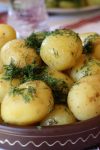 ukrainian dill potatoes g40340f0ae 1920 1