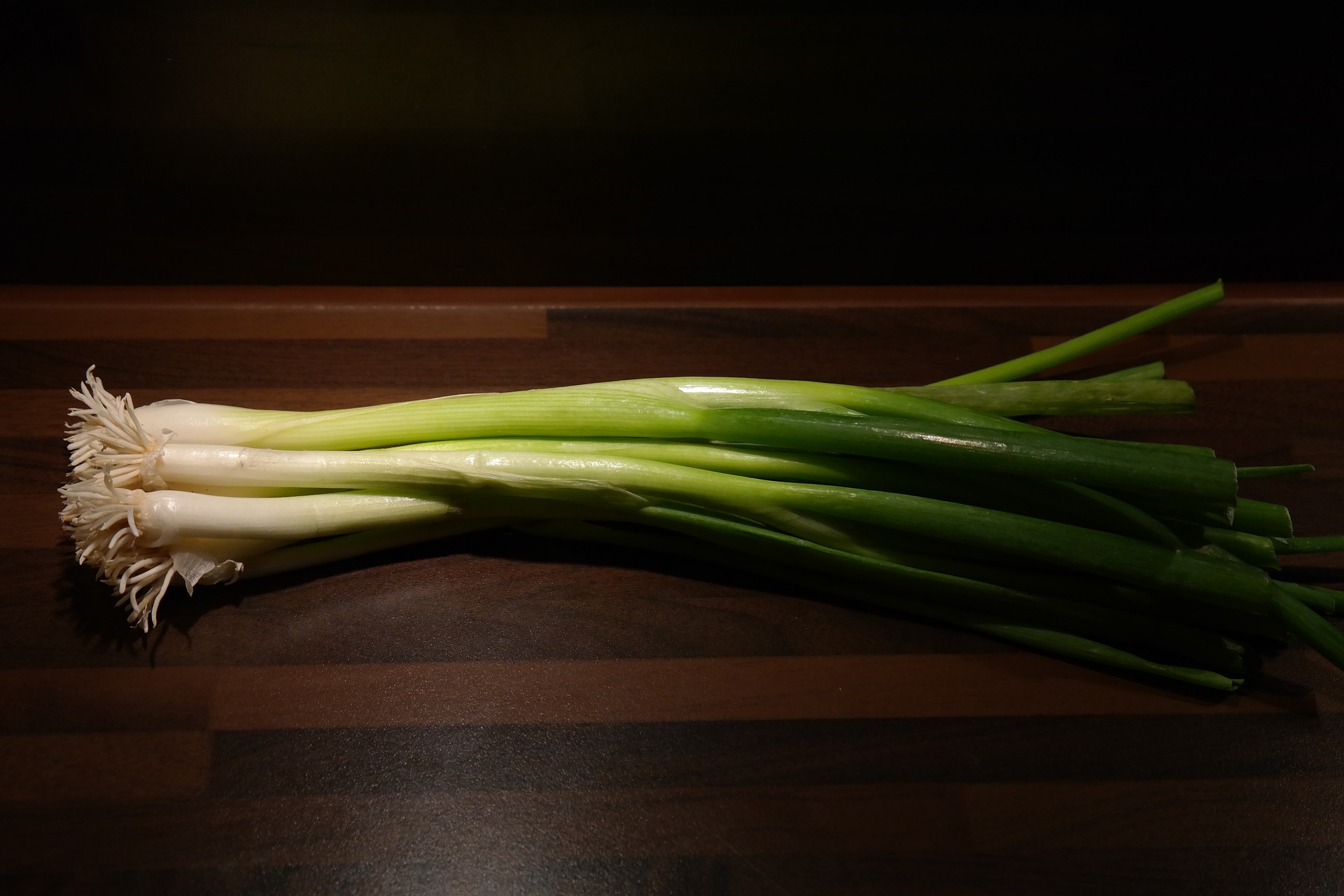 winter onion g8779e47fa 1920