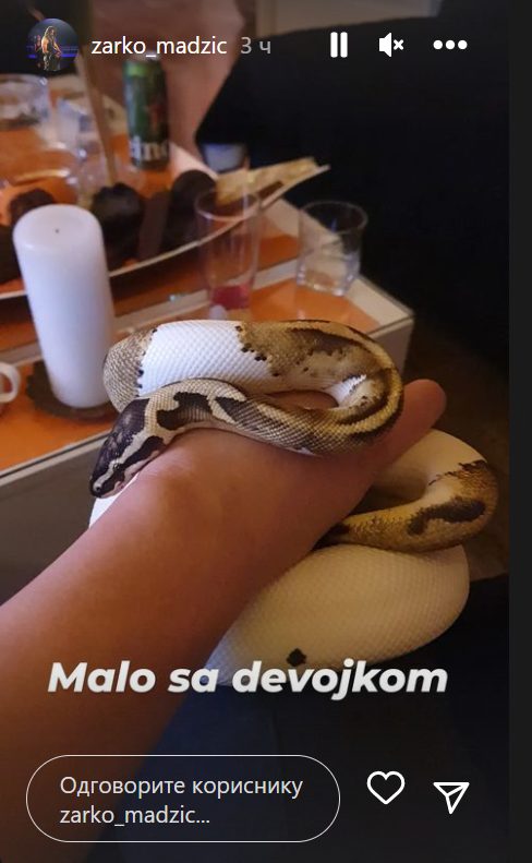 Šok objava "Zvezde Granda": Žarko Madžič pokazao devojku čiji je izgled uplašio mnoge (FOTO) 4 zarko m