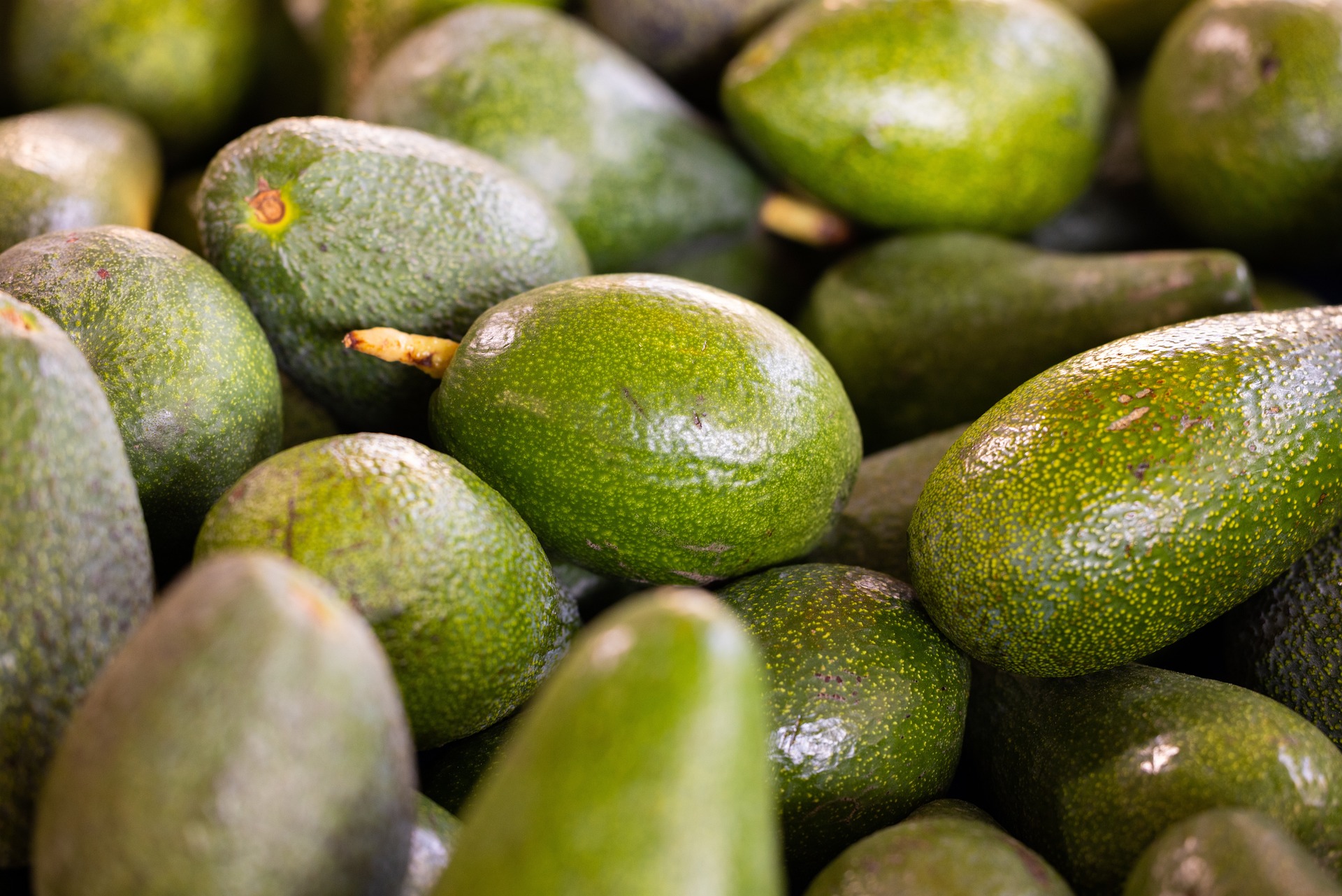 avocados 6757663 1920