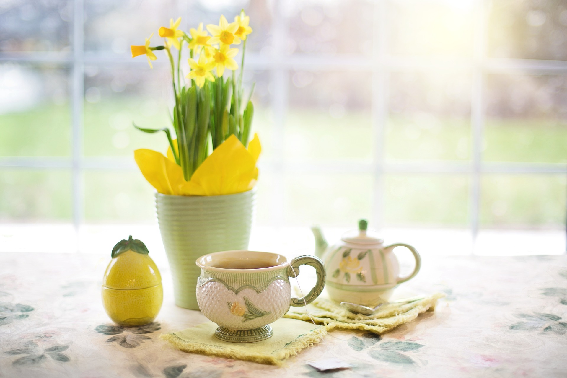 daffodils g307345427 1920
