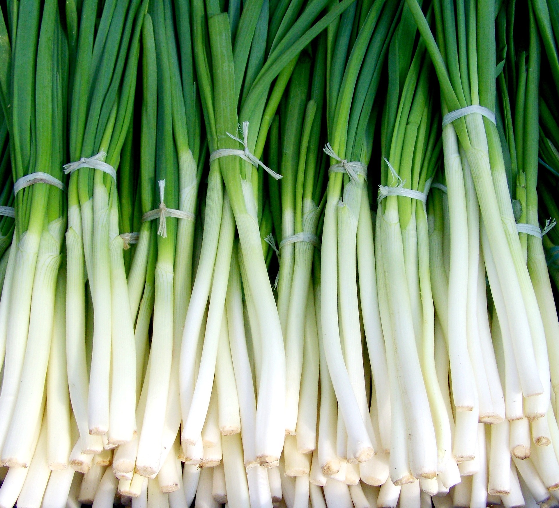 green onions ge5302d7d0 1920