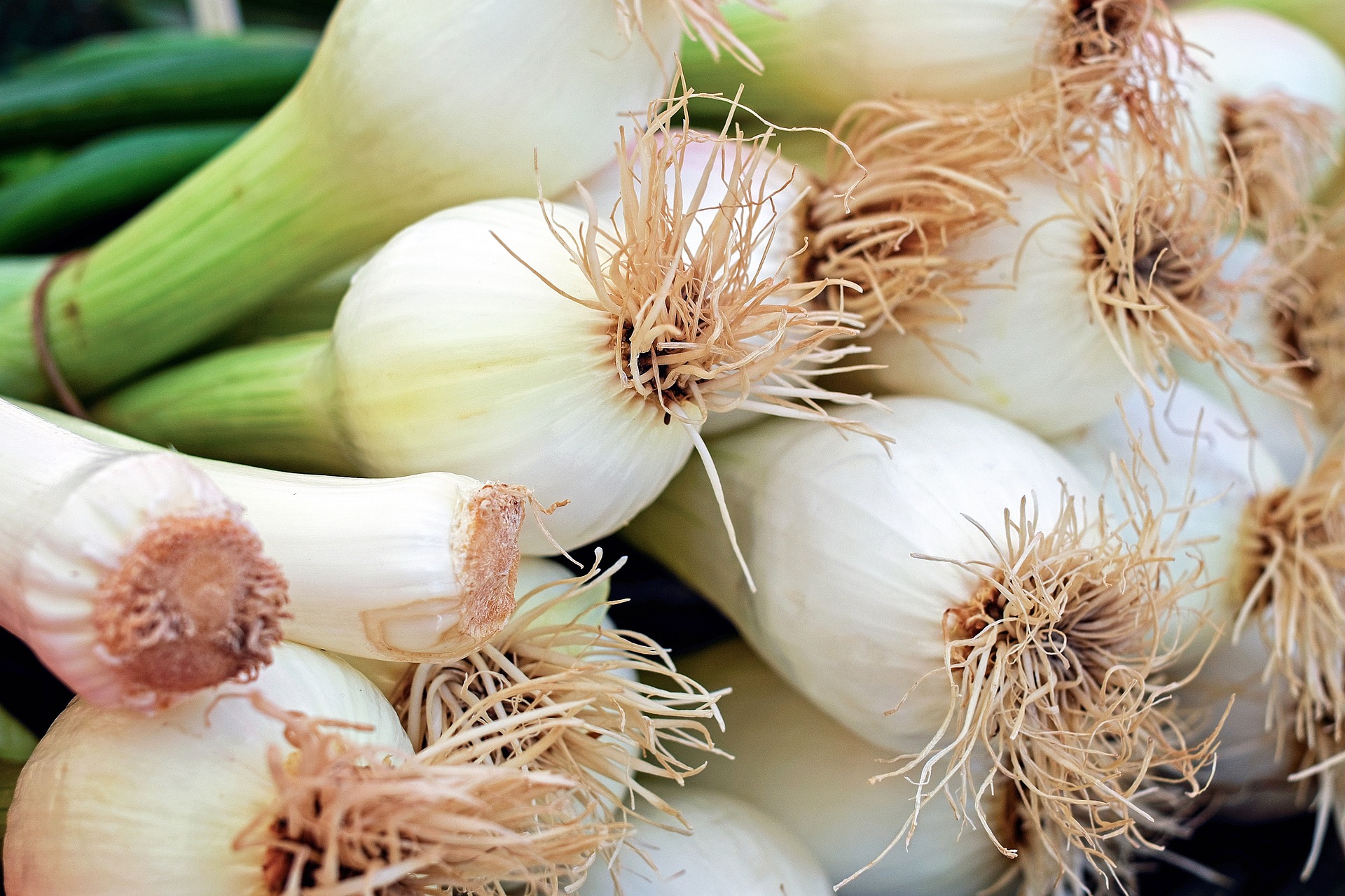 onion ga69525cc0 1920