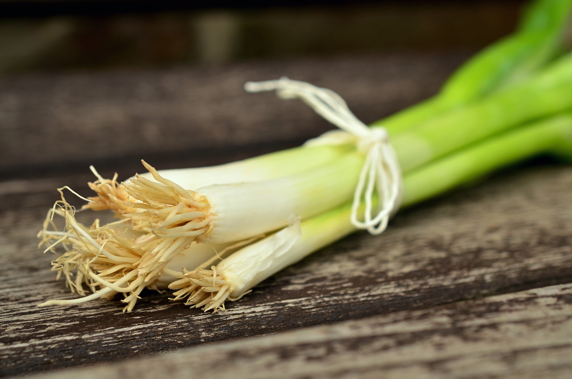 spring onions g873cb5b77 1920