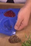 Prava prolećna poslastica: Čokoladni kolačići sa jagodama (VIDEO) 4 Capture 3