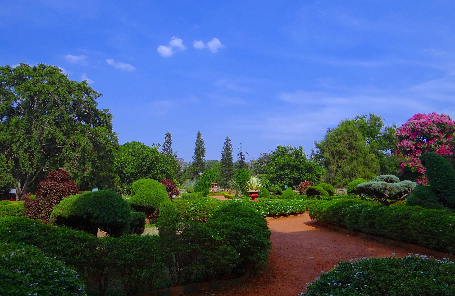 Osetljiva Mimoza ili iskreni Đurđevak? Saznajte koji ste cvet prema slovenskom horoskopu 11 botanical garden 332536 1920