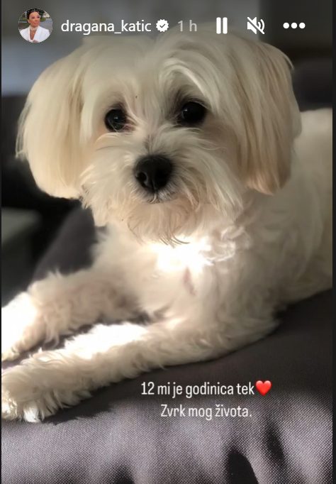 gita