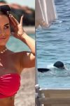 Na plaži grmi, a u vodi je niko ne bi prepoznao: Žena od sultana pliva sa naočarima i u papučama, prolaznici ne veruju šta vide (VIDEO) 3 ipiccy image 12 1