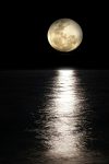 moon gbc789253b 1920