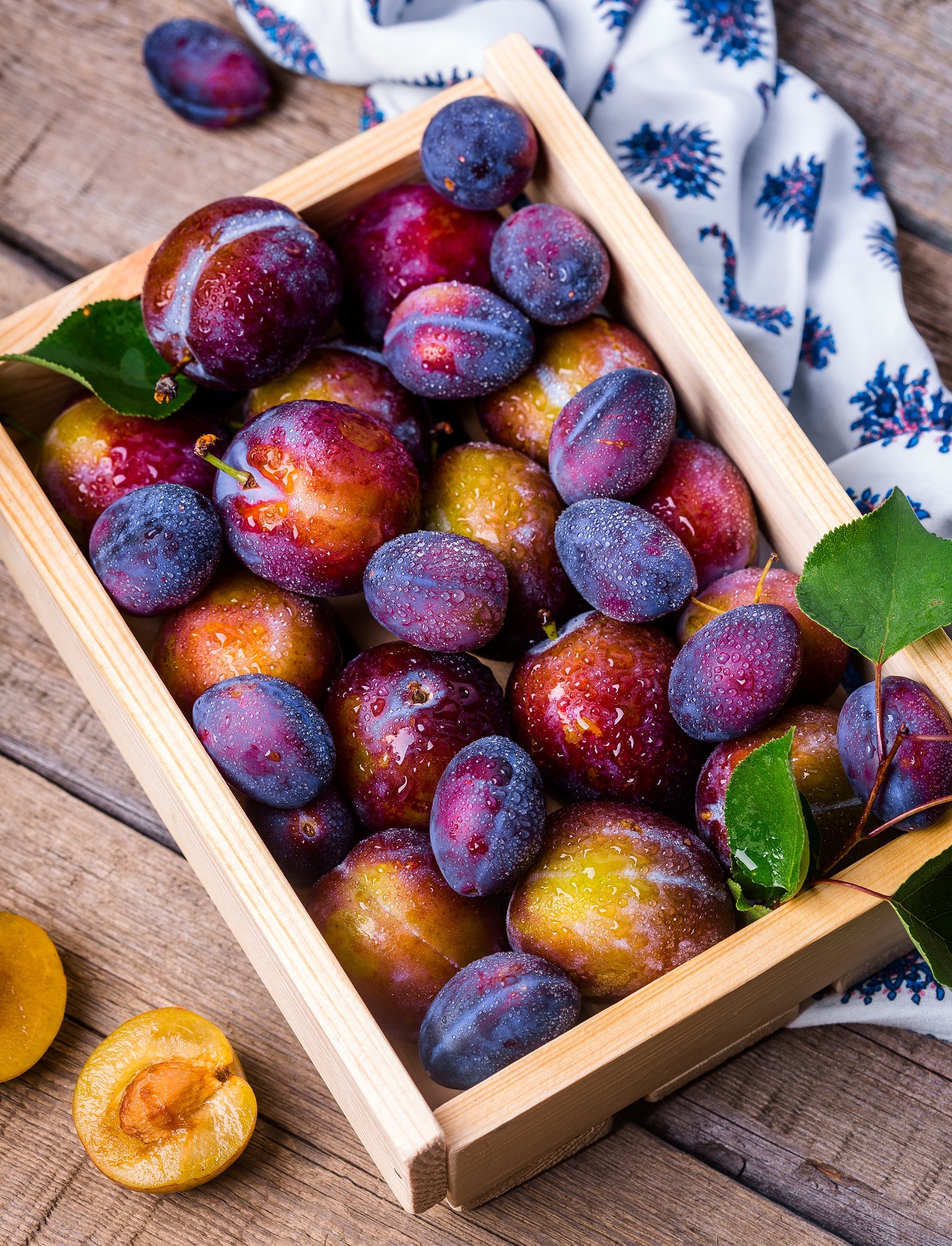 plums 1898196 1920