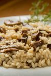 rice g6bff317d0 1280 1