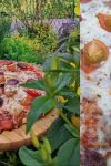 Da li ste probali DOMAĆINSKU PICU? Ukus je neverovatan! 2 domacinska pica