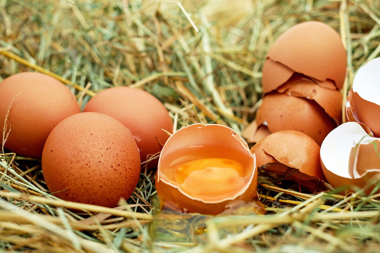 Naučnici su izdvojili ovih 7 suplemenata, dokazano produžavaju život 11 eggs g48200dca3 1280