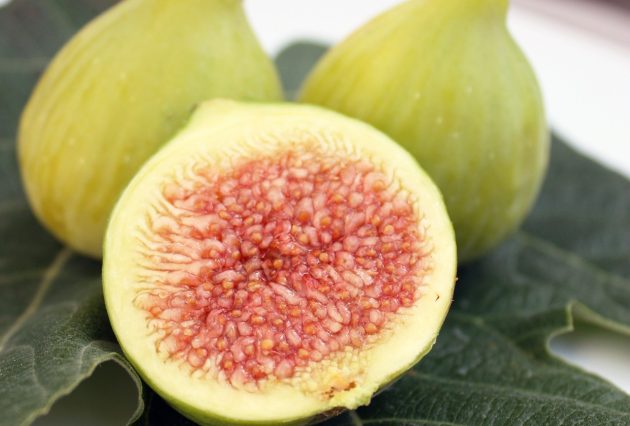 figs g8500f5518 1280
