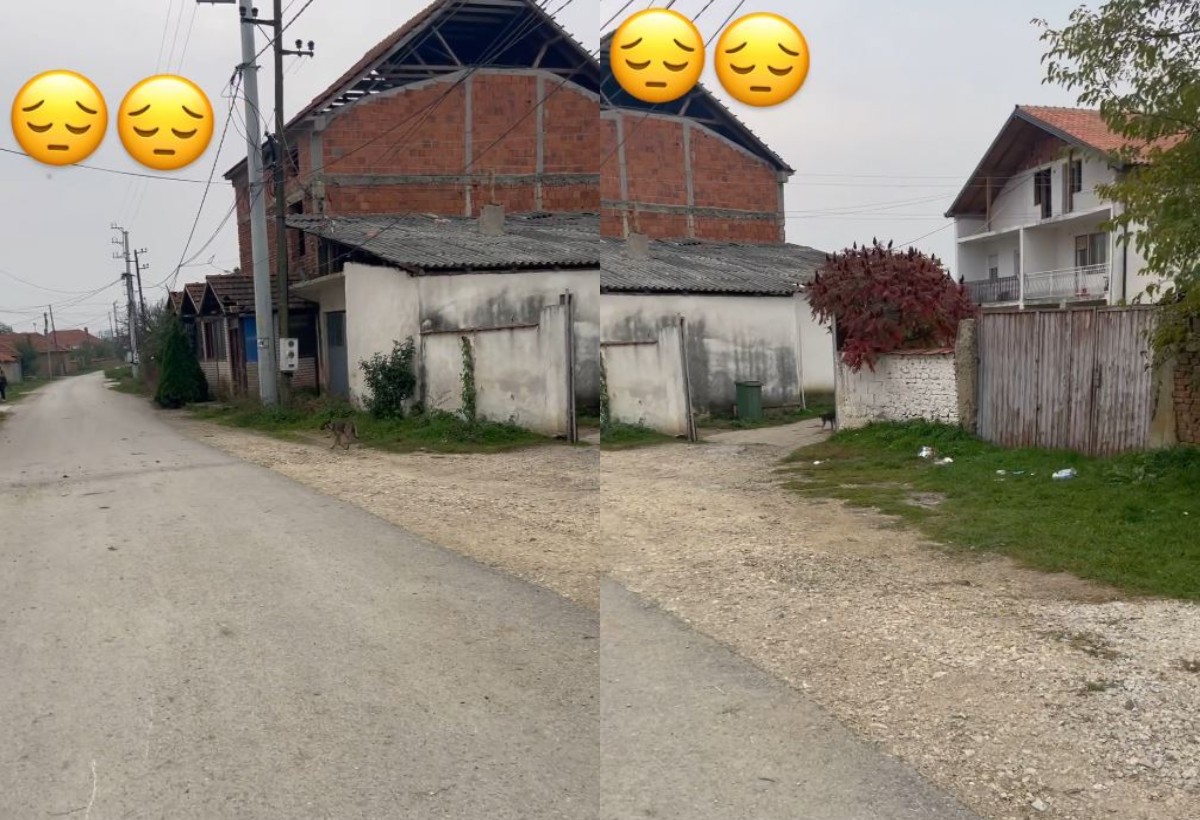 Prizor koji kida dušu: Jana posetila rodnu kuću na Kosovu, pa rasplakala sve (VIDEO) 6 ipiccy image 28