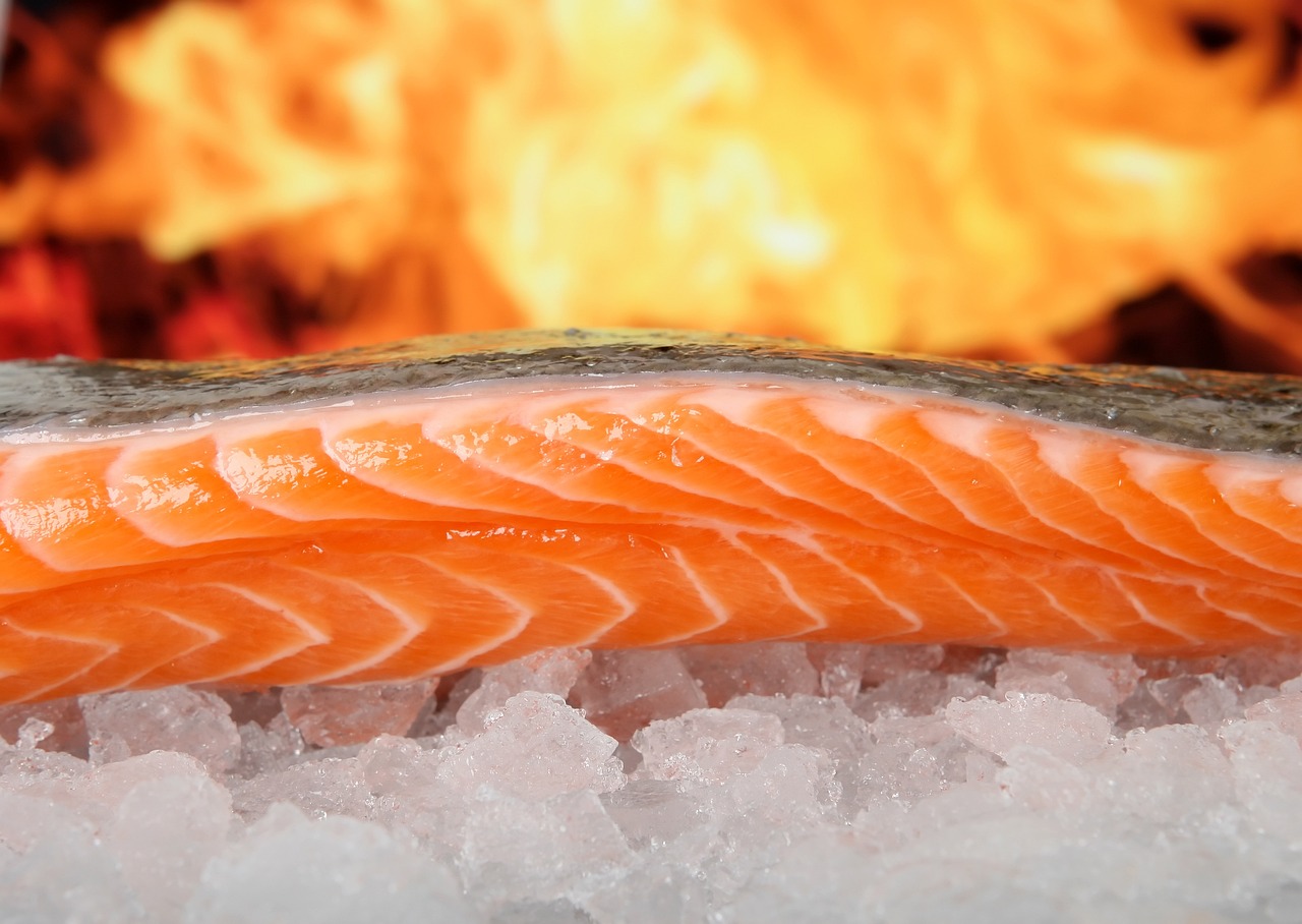 Naučnici su izdvojili ovih 7 suplemenata, dokazano produžavaju život 7 salmon g0607da476 1280