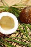 Rapsodija ukusa: Uživajte u kolaču od kokosa i keksa 2 coconut 1501334 1280