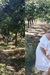 Pevačica ponovo uhvaćena u krađi: "Rizikujemo život da budemo provaljeni" (VIDEO) 2 ipiccy image 67 1