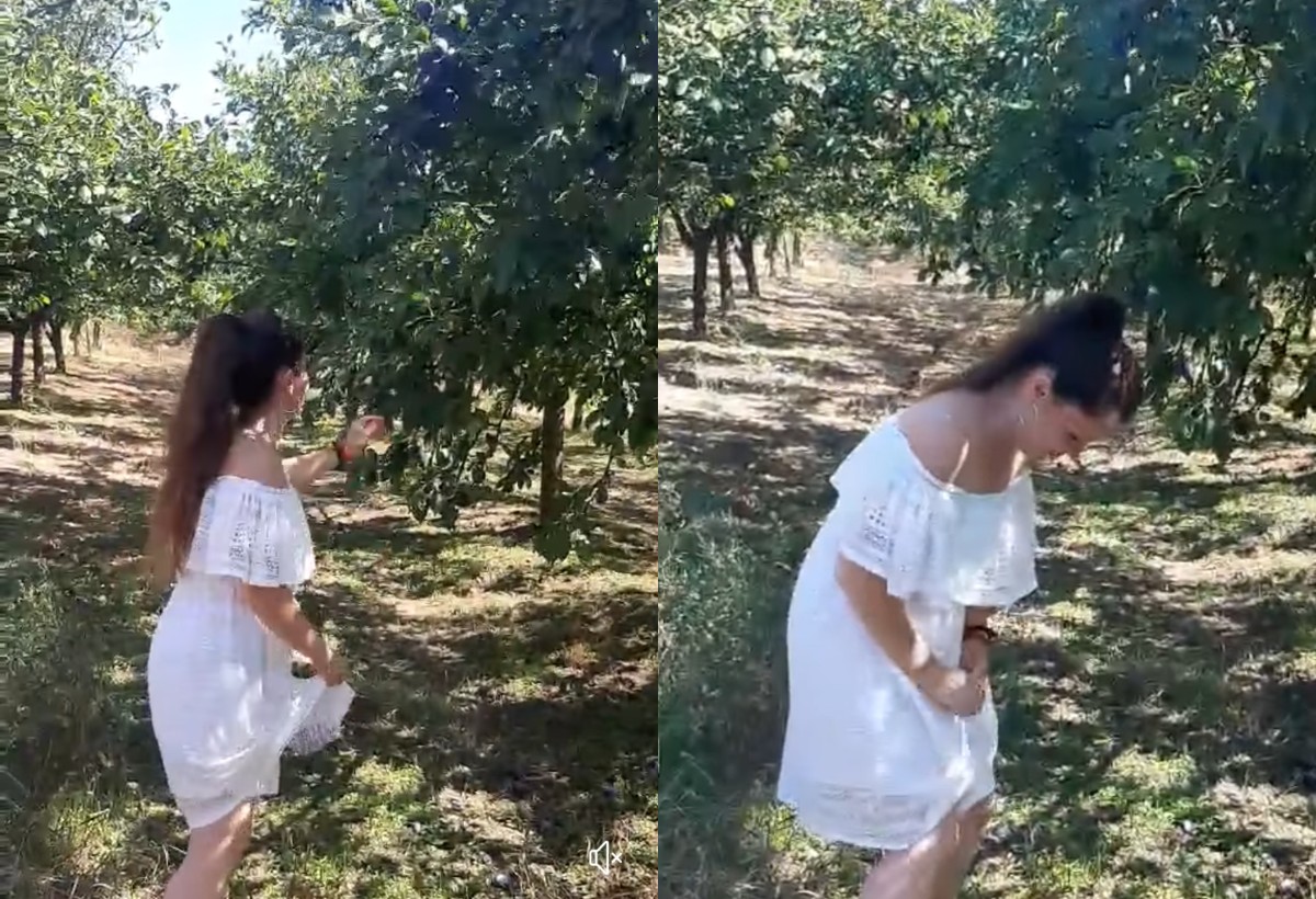 Pevačica ponovo uhvaćena u krađi: "Rizikujemo život da budemo provaljeni" (VIDEO) 2 ipiccy image 67 1