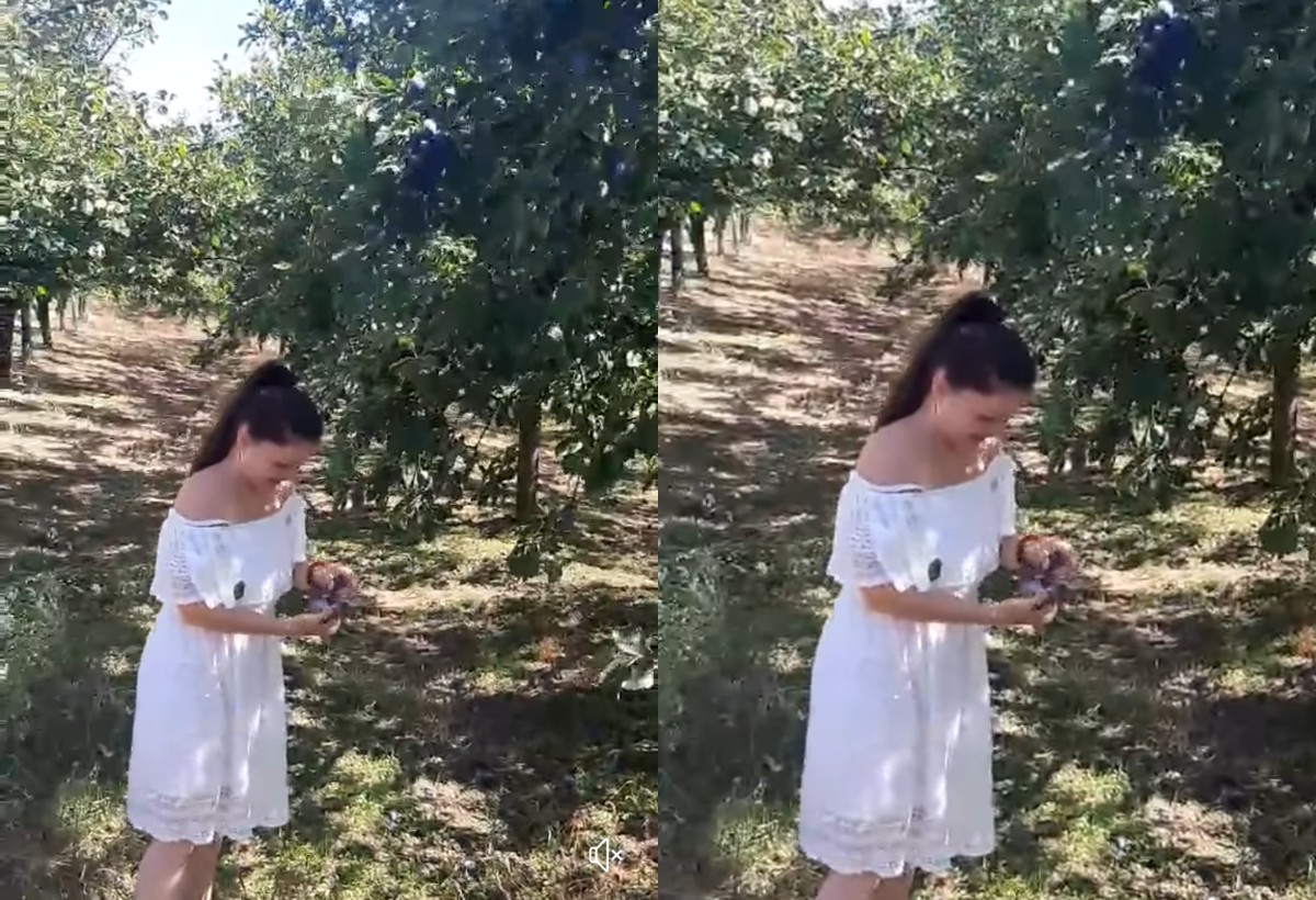 Pevačica ponovo uhvaćena u krađi: "Rizikujemo život da budemo provaljeni" (VIDEO) 3 ipiccy image 68