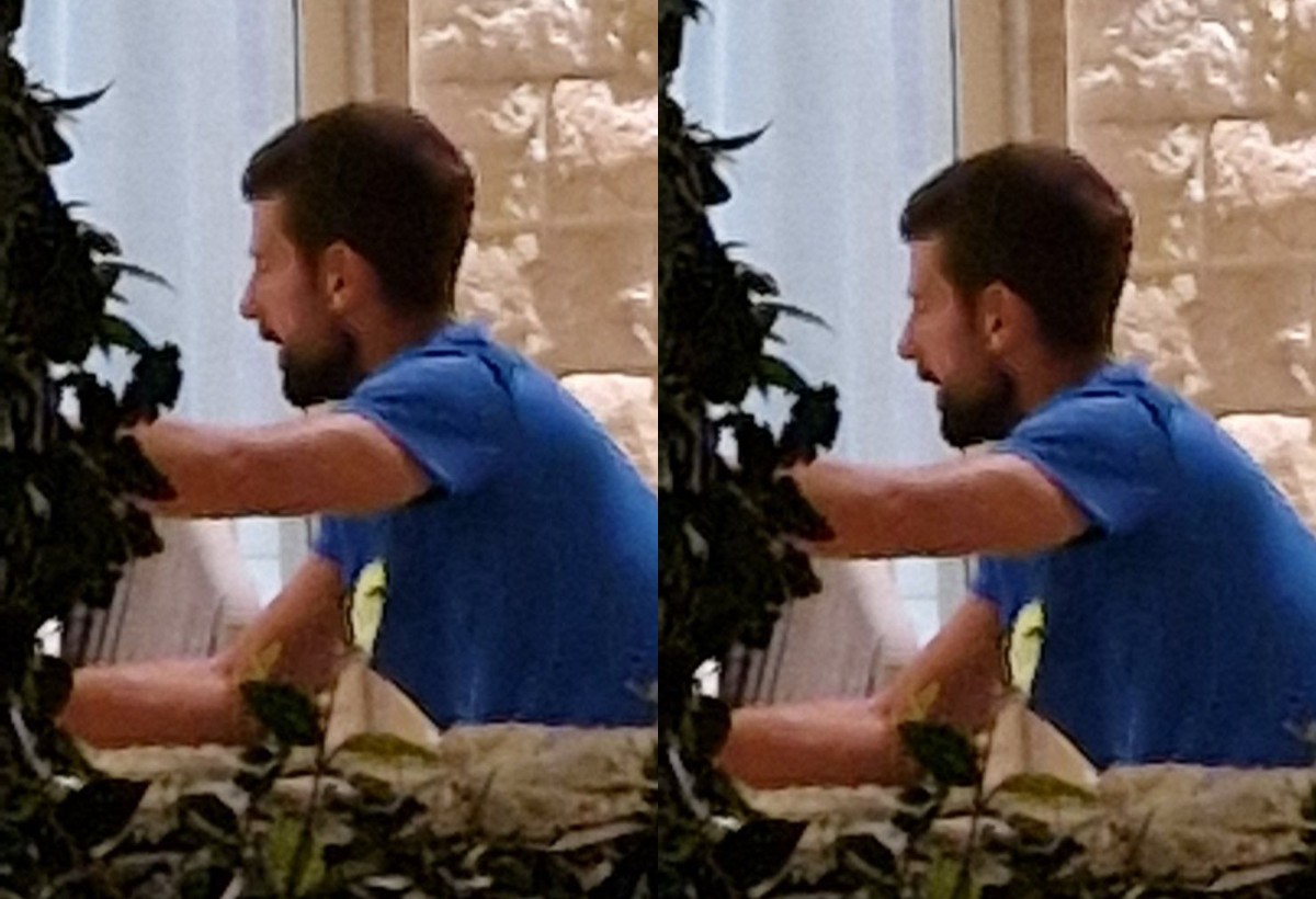 Paparazzo: Novak Đoković uživa u Portonovom, zbog jedne stvari morao da se skloni (FOTO) 5 novak