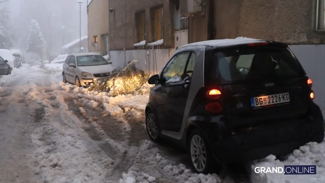 Vozni parkovi srpske estrade: Jednom pevaču niko ne može da parira (VIDEO) 14 zika jaksic