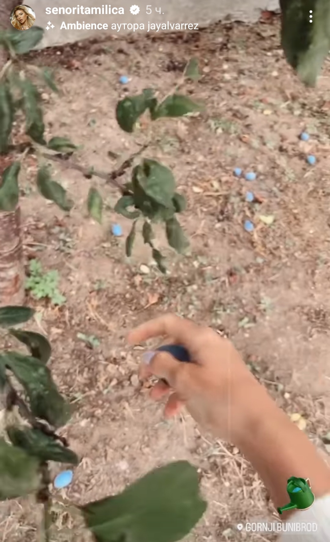 Od stare kuće napravila luksuz: Milica Pavlović renovirala dom u Gornjem Bunibrodu i pokazala kako izgleda njen raj 8 Screenshot 20230925 180631 Instagram