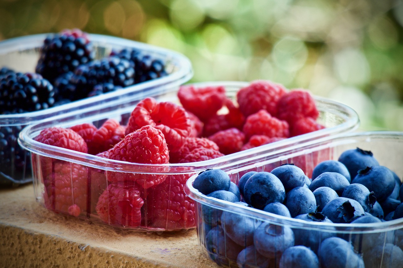 Doktorka otkriva zbog čega je važno da konzumirate borovnice 5 berries 3504149 1280