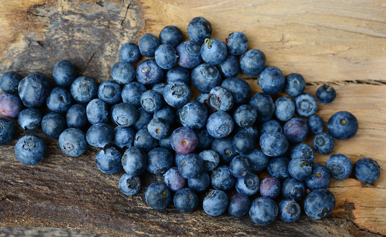 Doktorka otkriva zbog čega je važno da konzumirate borovnice 7 blueberries 2270379 1280