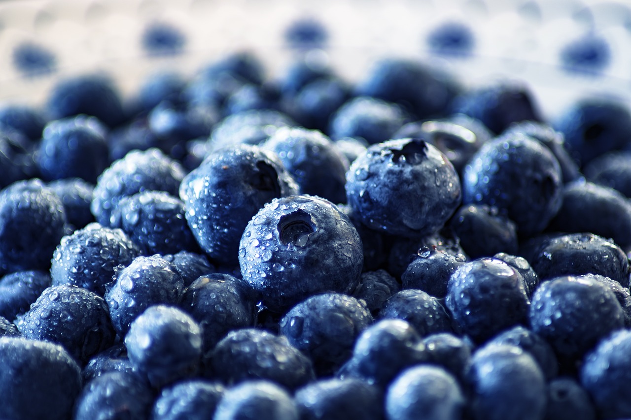 Doktorka otkriva zbog čega je važno da konzumirate borovnice 6 blueberries 3460423 1280