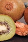 kiwi 1402838 1280
